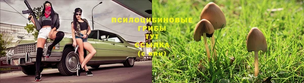 скорость mdpv Бородино